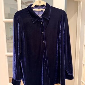 Luxurious Velvet Button Down Shirt in Deep Blue